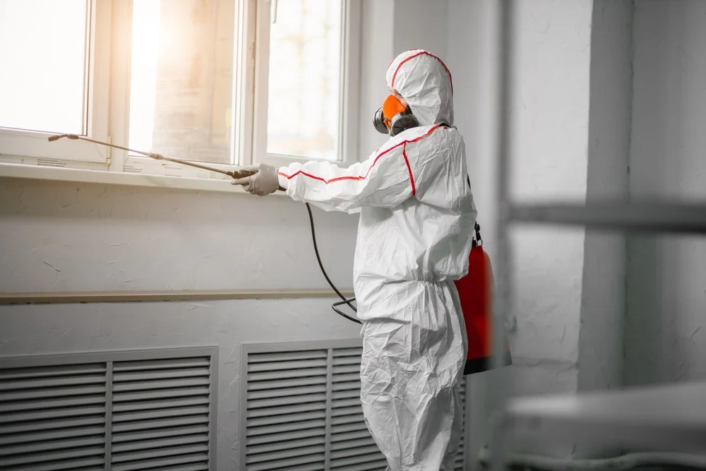 Professional mold remediation services in Flossmoor, IL